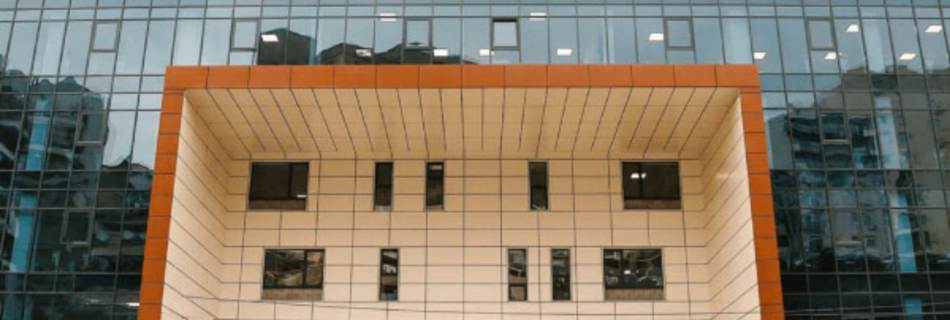 Alte University
