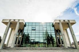 Girgol Robakidze University